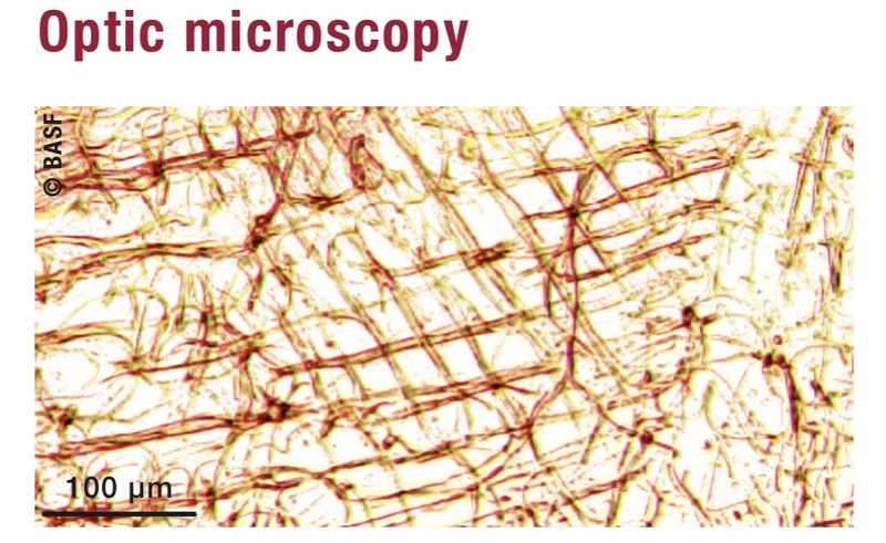 Optic microscopy
